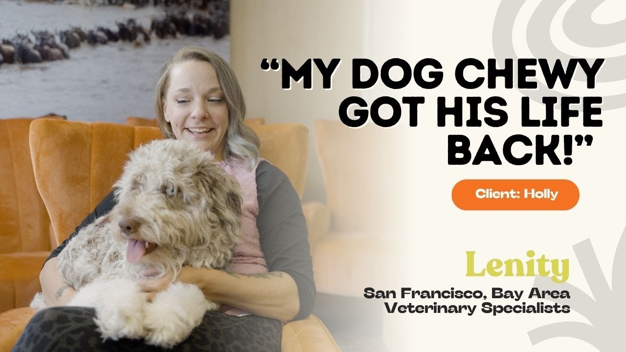 Emergency Vet and Surgery Center
