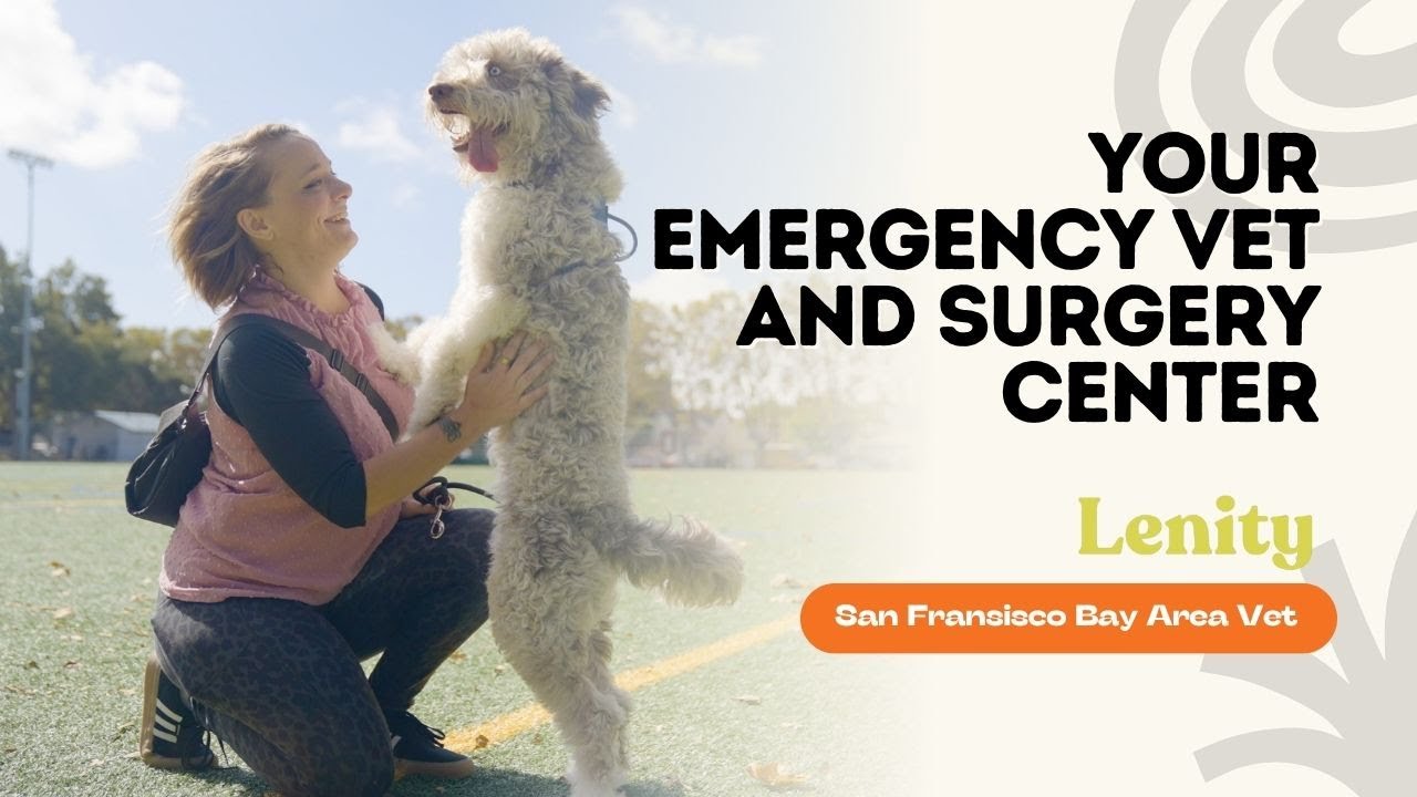 Leading Emergency Vet for San Mateo