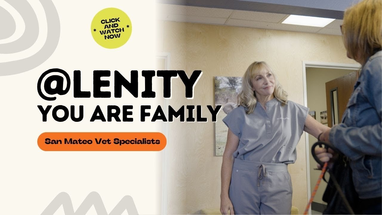 San Mateo Veterinary Hospital