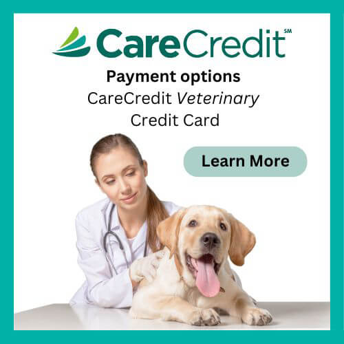 Care Credit
