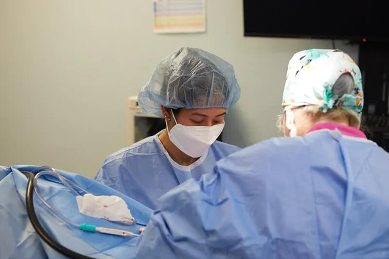 Vets doing procedures