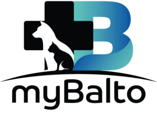 MyBalto Foundation
