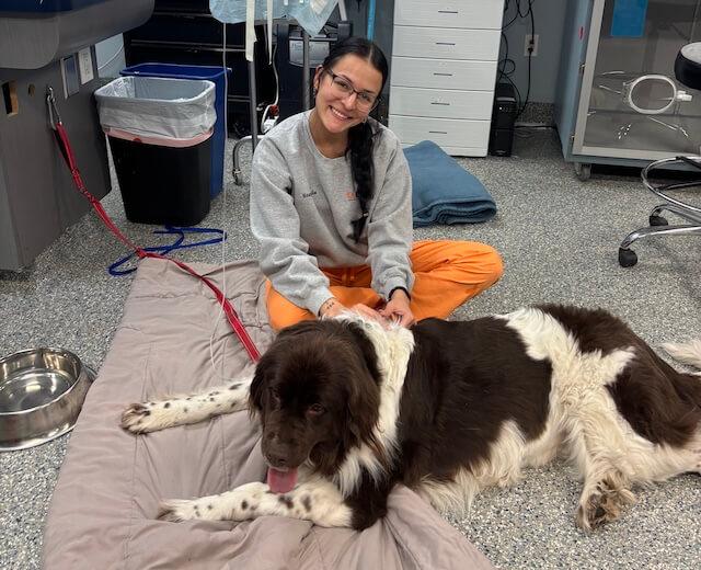Emergency Veterinary Care