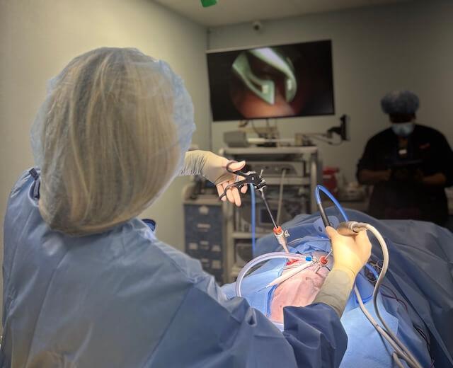 Laparoscopic & Minimally Invasive Surgery